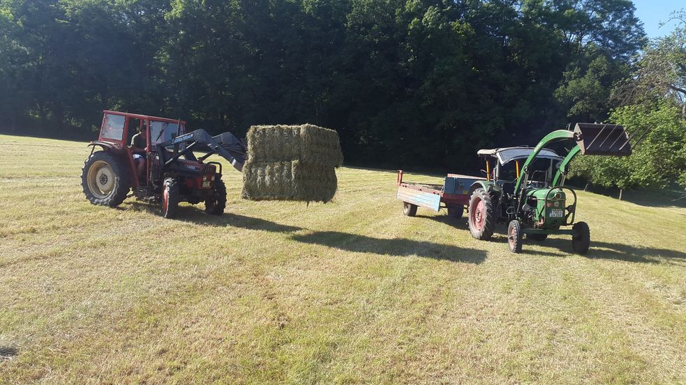 Traktor lädt Heuballen für die Islandpferde auf einen Anhänger