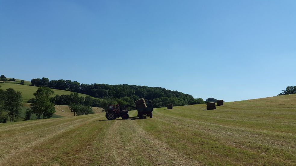 Heuballen werden auf der Wiese auf einen Anhänger geladen.