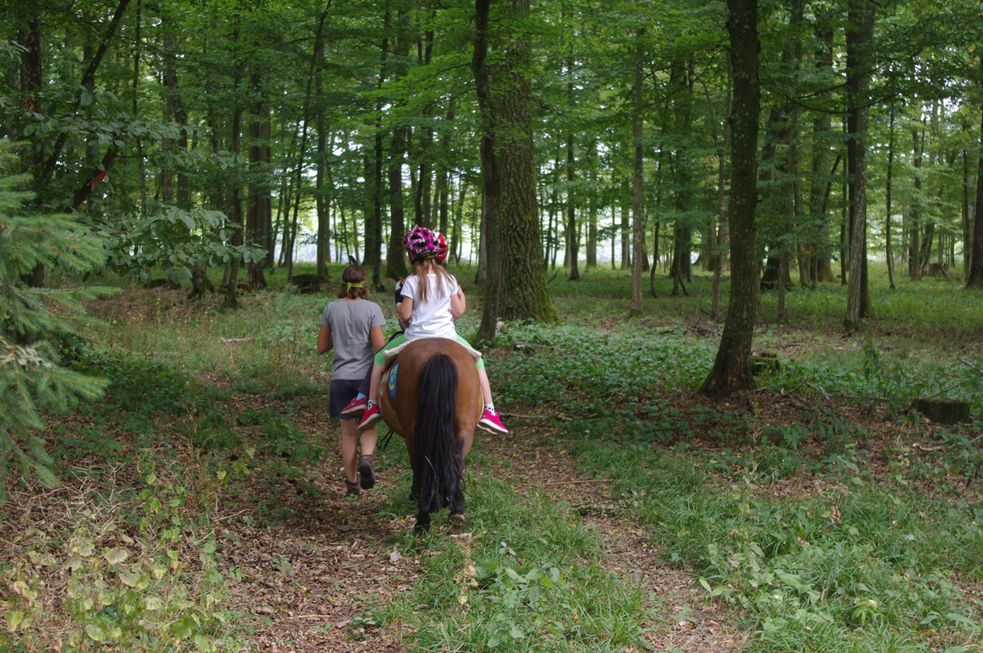 Zwei Kinder reiten auf einem Pony im Wald