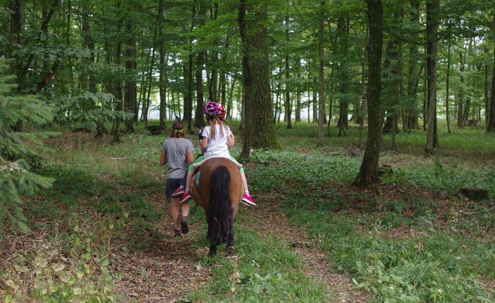 Zwei Kinder reiten auf einem Pony im Wald