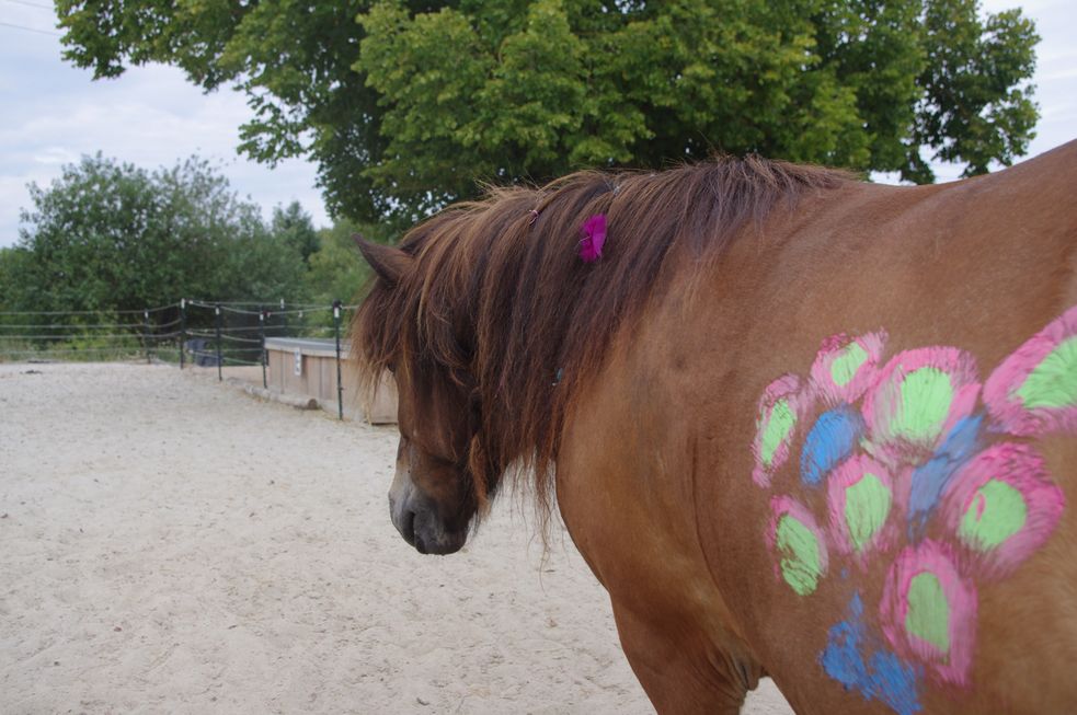 Pony mit Haarschmuck und Bemalung