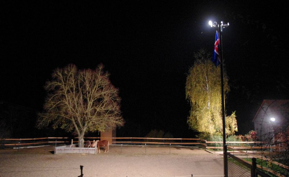 Beleuchteter Islandpony-Auslauf am Offenstall bei Nacht