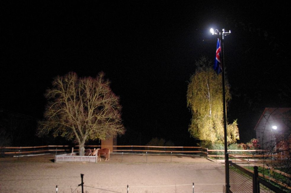 Beleuchteter Islandpony-Auslauf am Offenstall bei Nacht