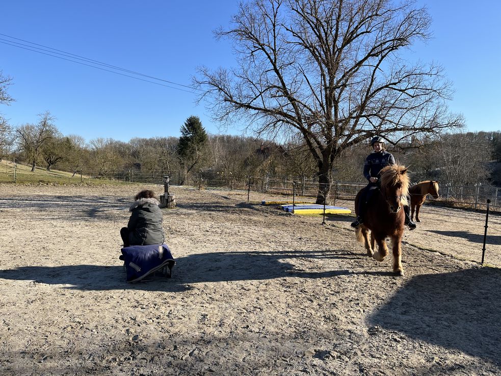 Reitplatz mit einer Reiterin auf einem Islandpony und Reitlehrerin auf einem Hocker sitzend