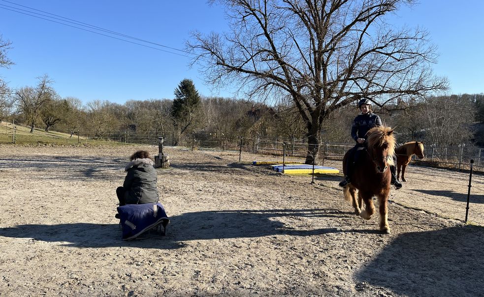 Reitplatz mit einer Reiterin auf einem Islandpony und Reitlehrerin auf einem Hocker sitzend
