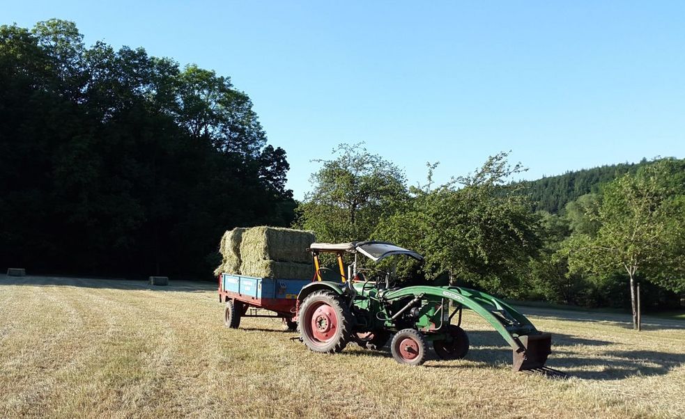 Heuballen für unsere Islandpferde und Pensionspferde auf einem Wagen