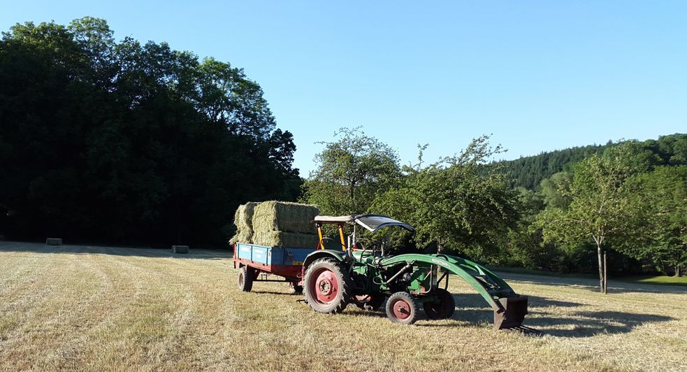 Heuballen für unsere Islandpferde und Pensionspferde auf einem Wagen